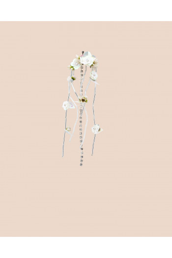 Pendientes Antonnieta